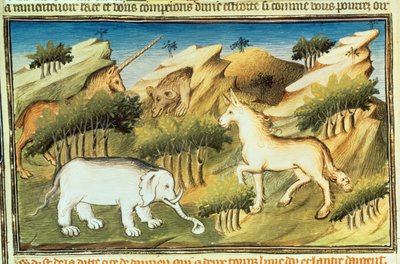 Mythical animals in the wilderness, from 